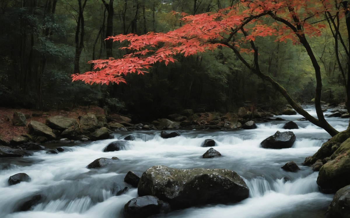 溪流与金叶的悠扬之歌