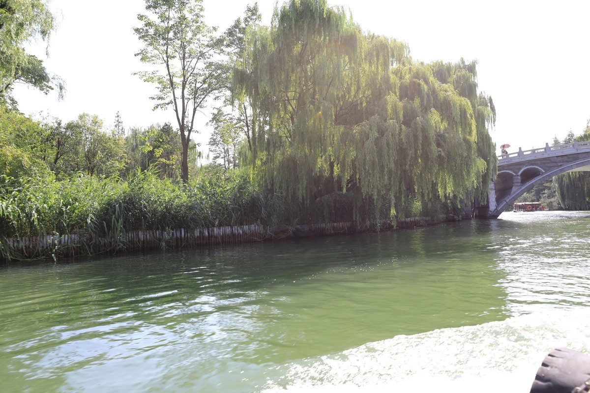 绿绿的湖水