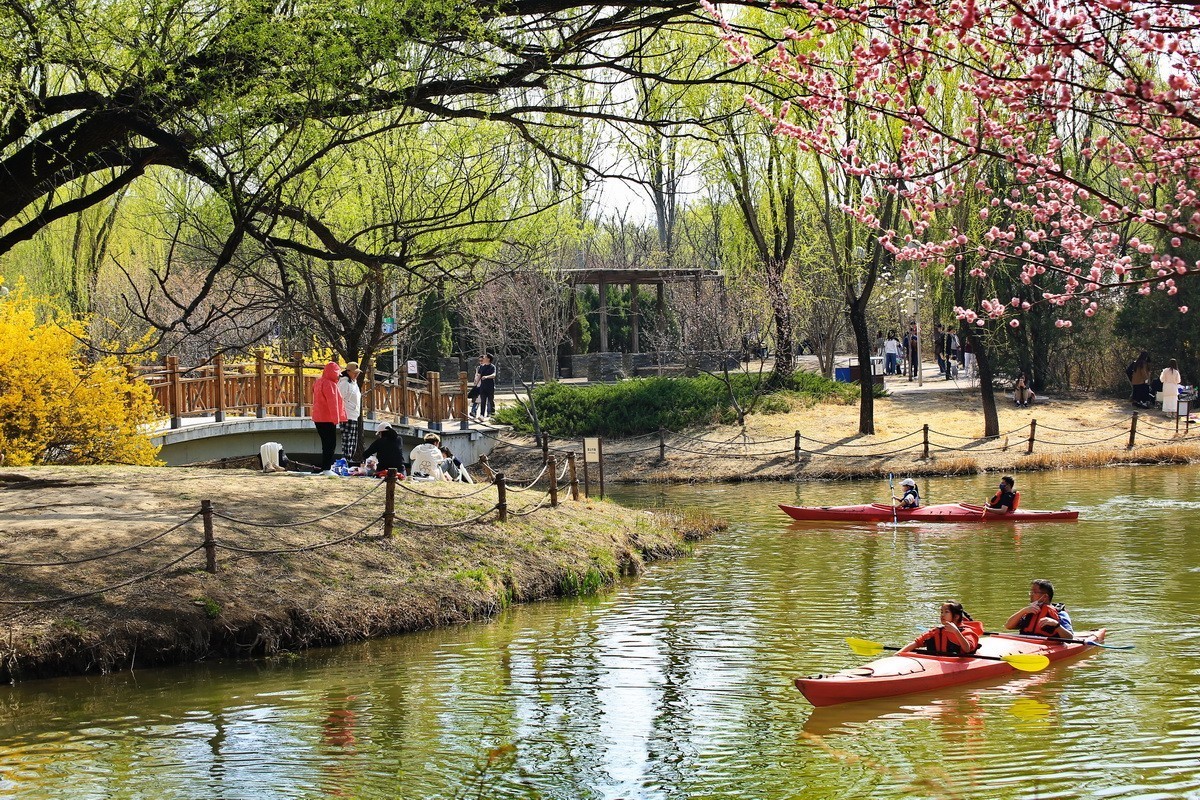 2024012 奥体森林公园 春色春韵