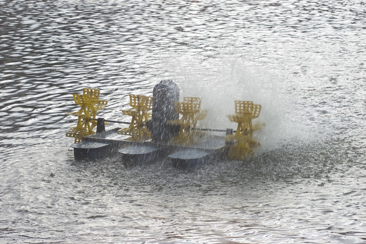 太原市文瀛公园掠影之三