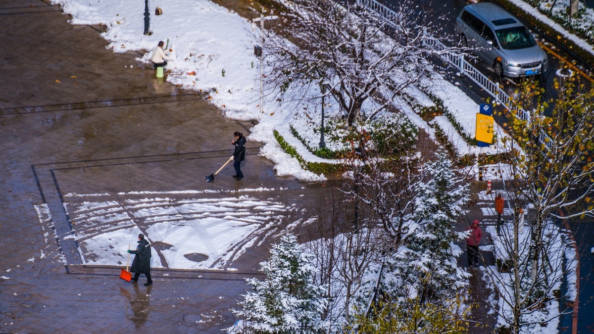 241126 宅 家 观 雪 （ 四 ）