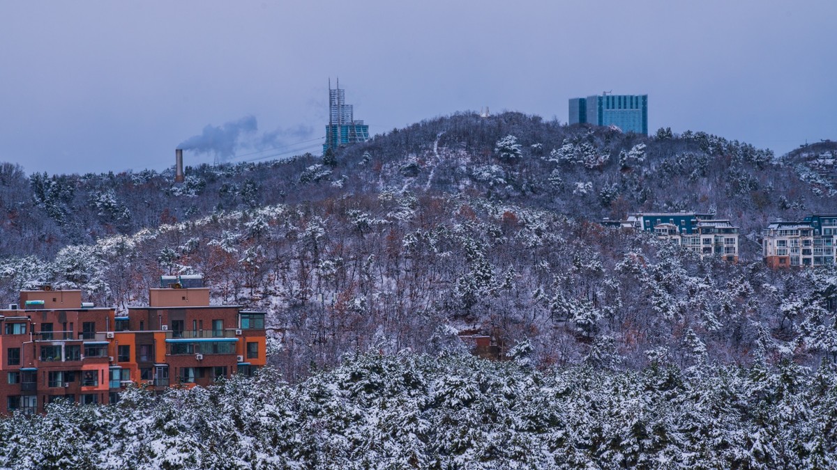 241126 宅 家 观 雪 （ 四 ）