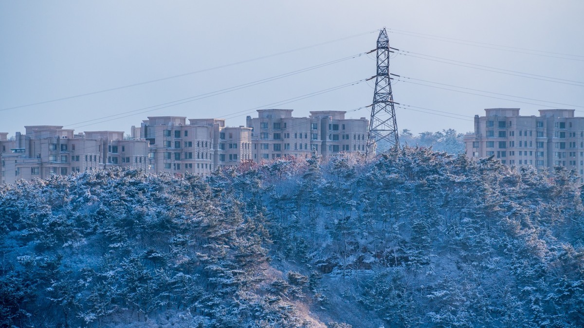 241126 宅 家 观 雪 （ 四 ）