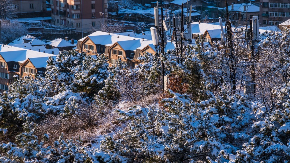 241126 宅 家 观 雪 （ 四 ）
