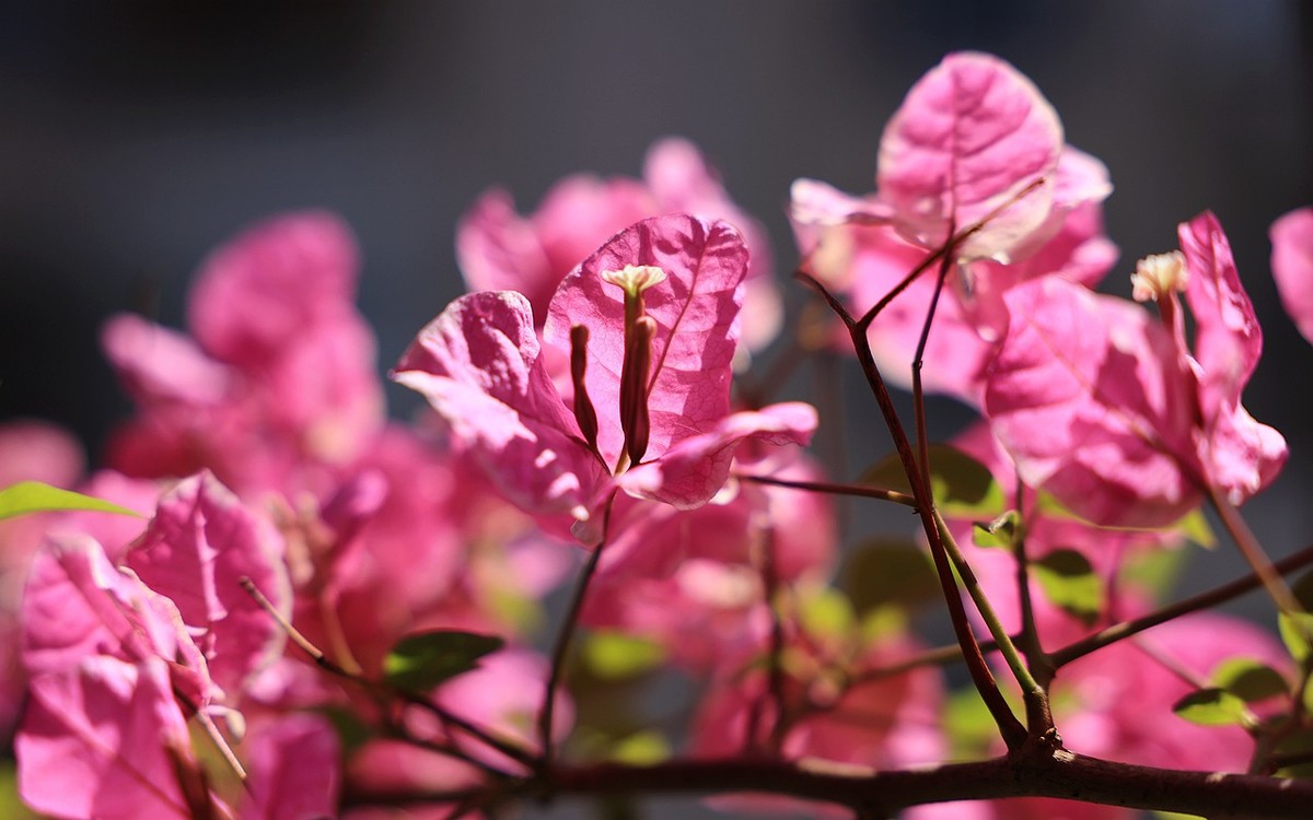 RF24-70 2.8  试镜！