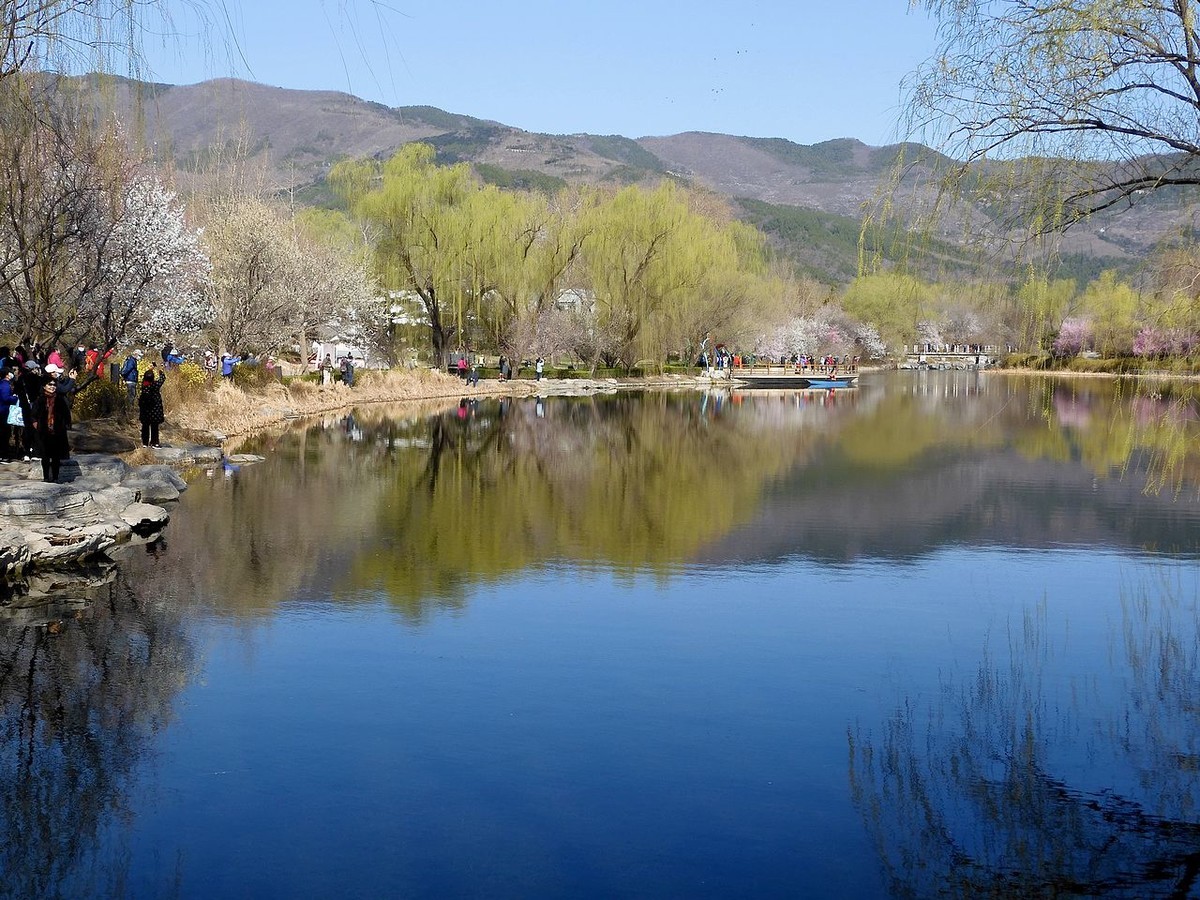 北 京 植 物 园---- 春 色