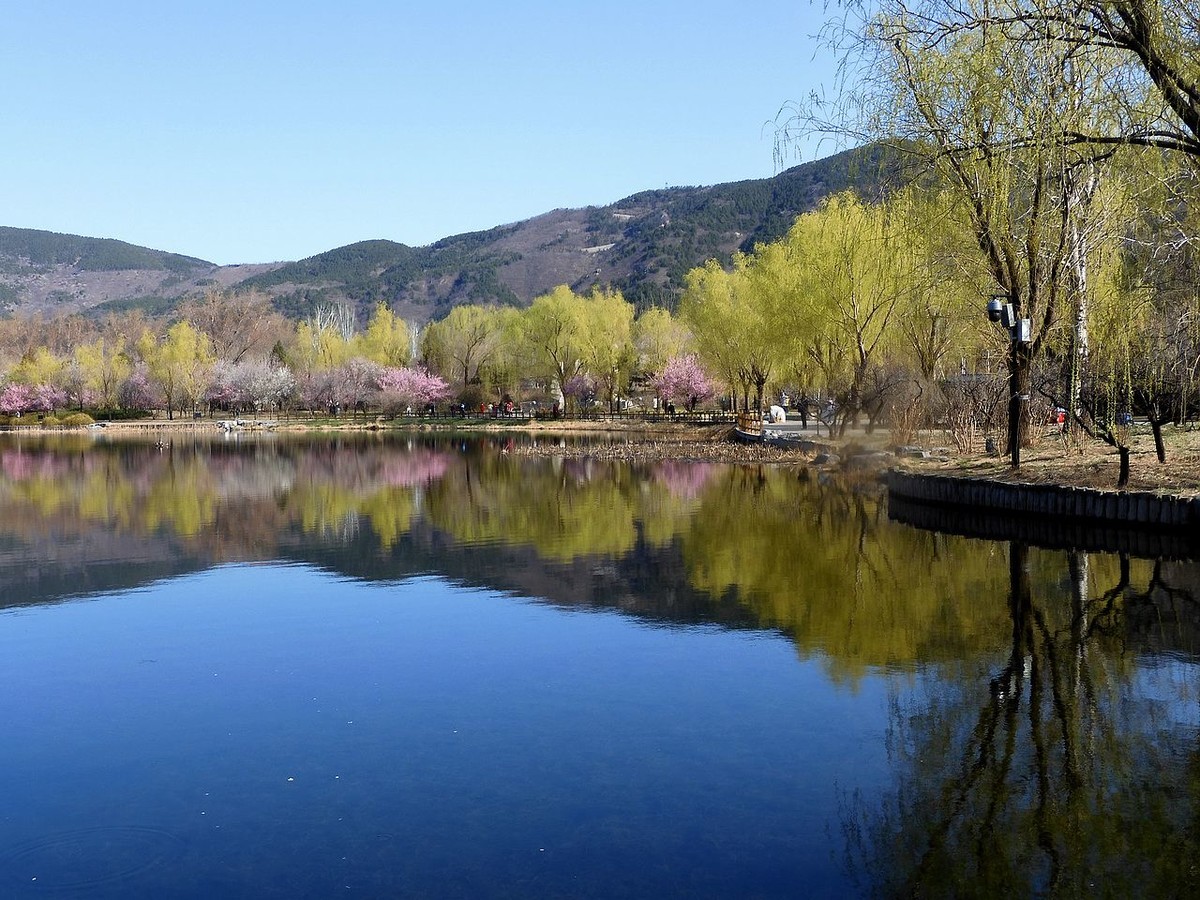 北 京 植 物 园---- 春 色