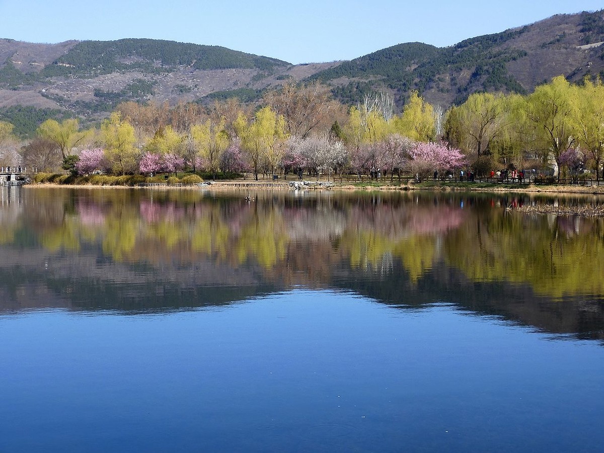 北 京 植 物 园---- 春 色