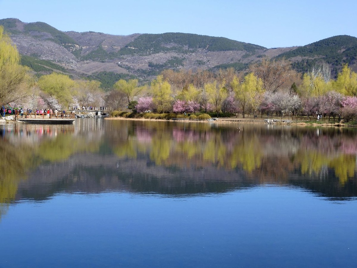 北 京 植 物 园---- 春 色