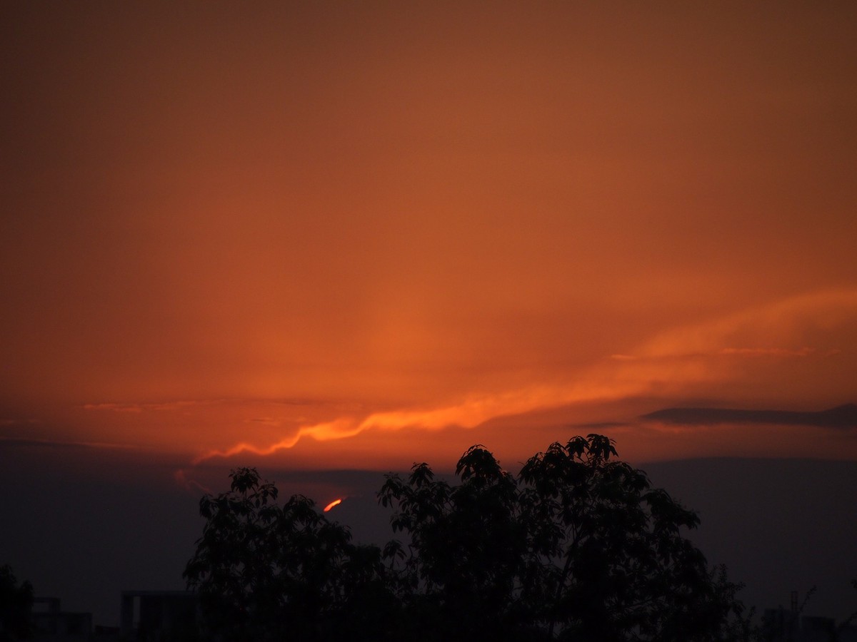 太阳回家咯（下）