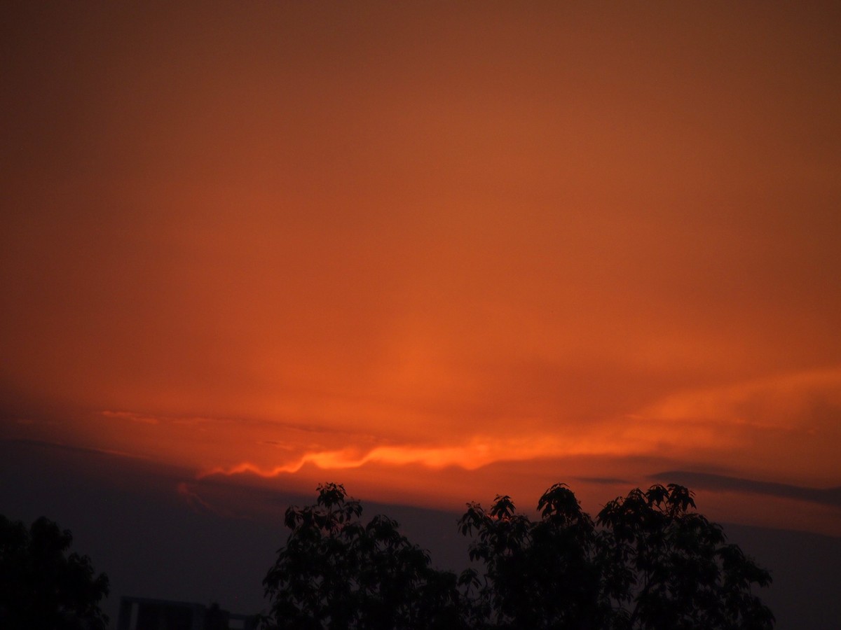 太阳回家咯（下）