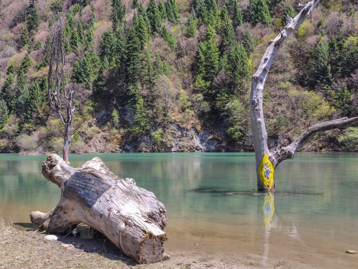 自己也0230416达古冰川