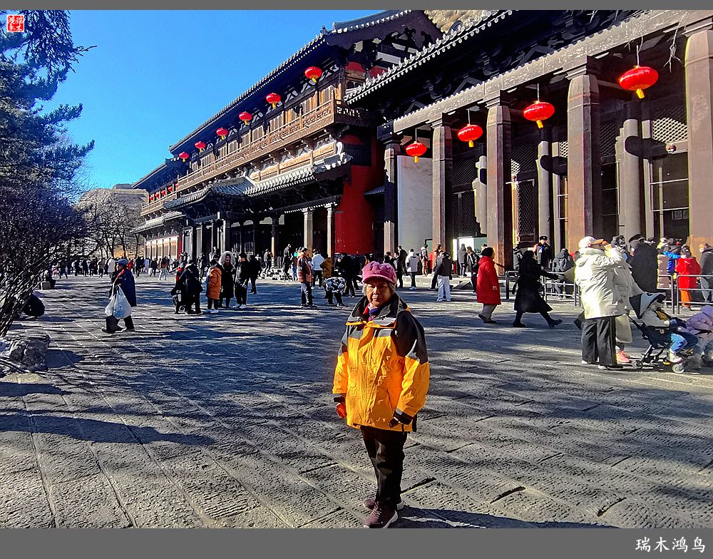 【印象大同】2.一睹云冈石窟的风采