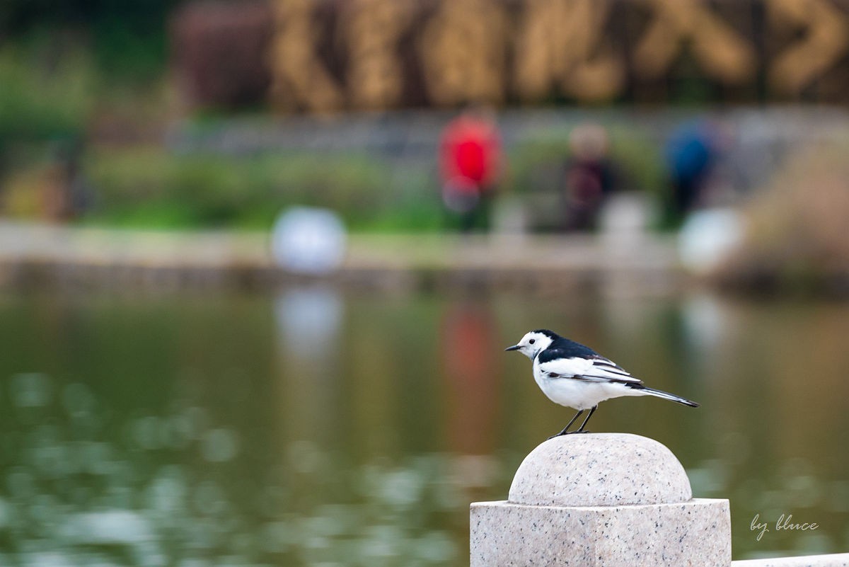 绍兴兜率天——天宫