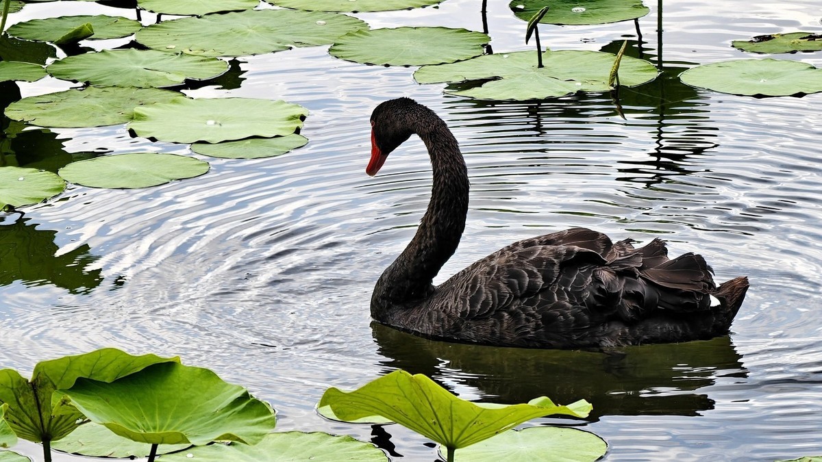 一点生活分享照