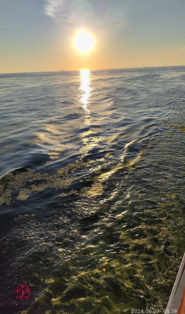 海上看日出 邮轮舷歌    周鸣天