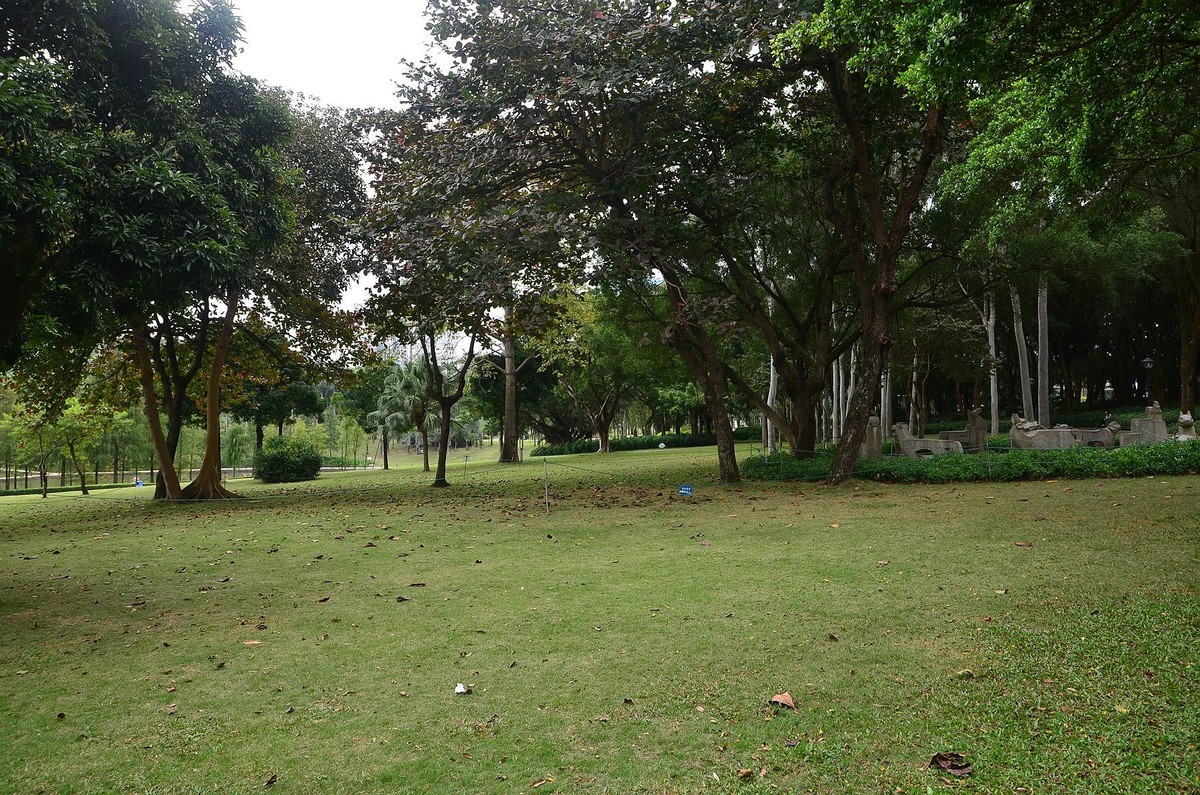 回忆片——珠海情侣路边