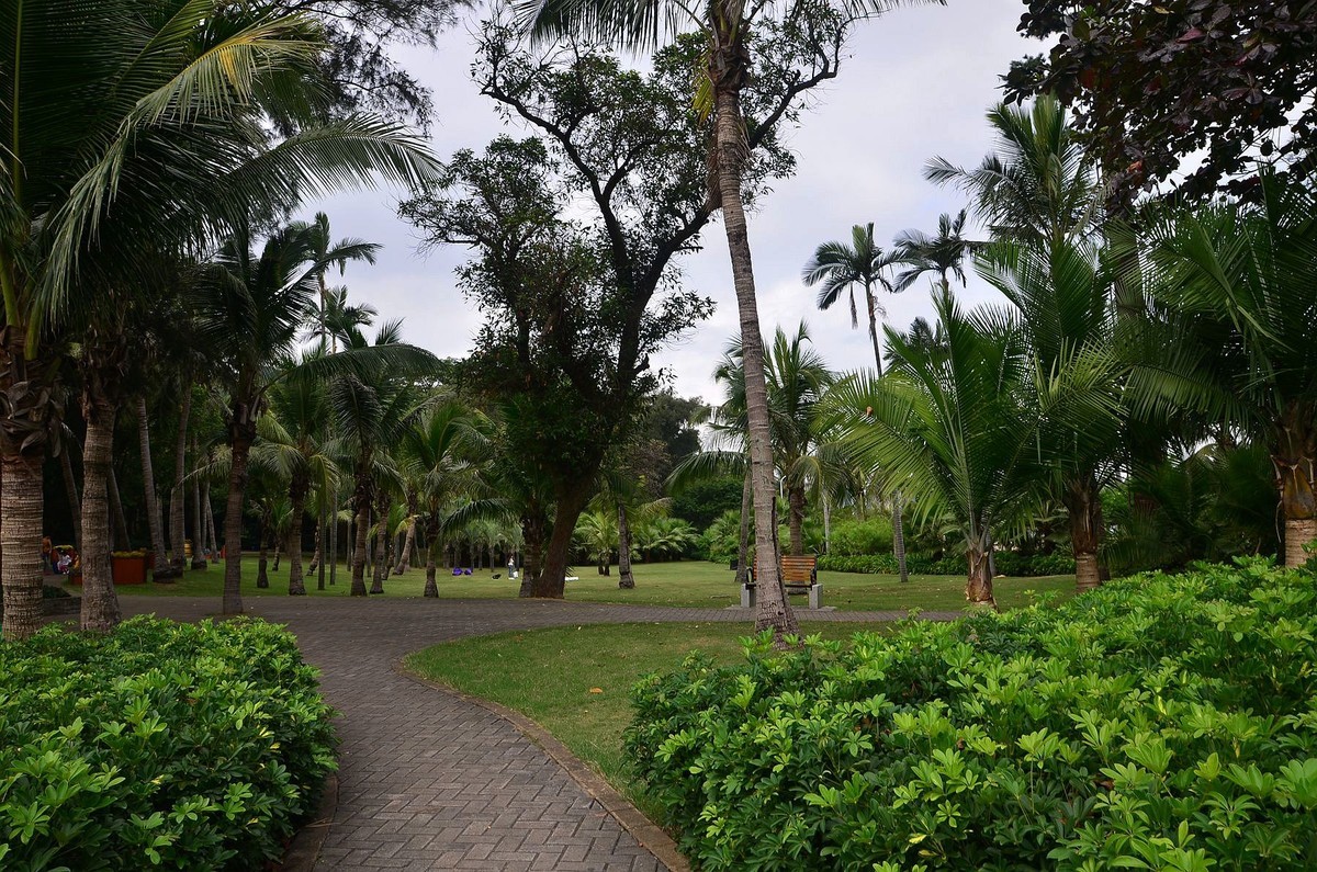 回忆片——珠海情侣路边