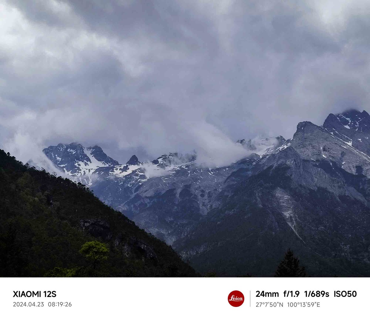 玉龙雪山云杉坪