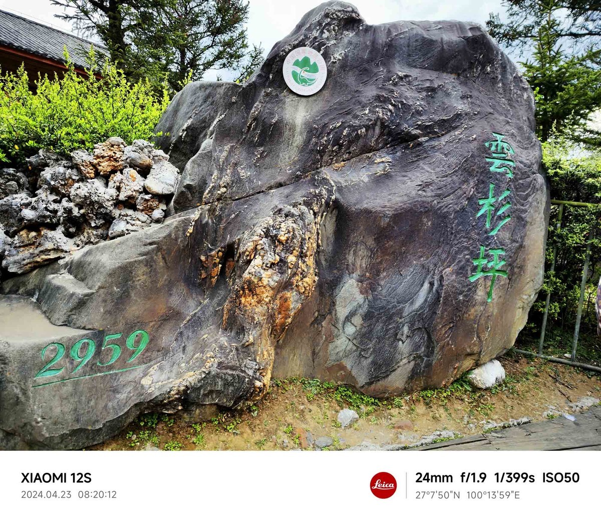 玉龙雪山云杉坪