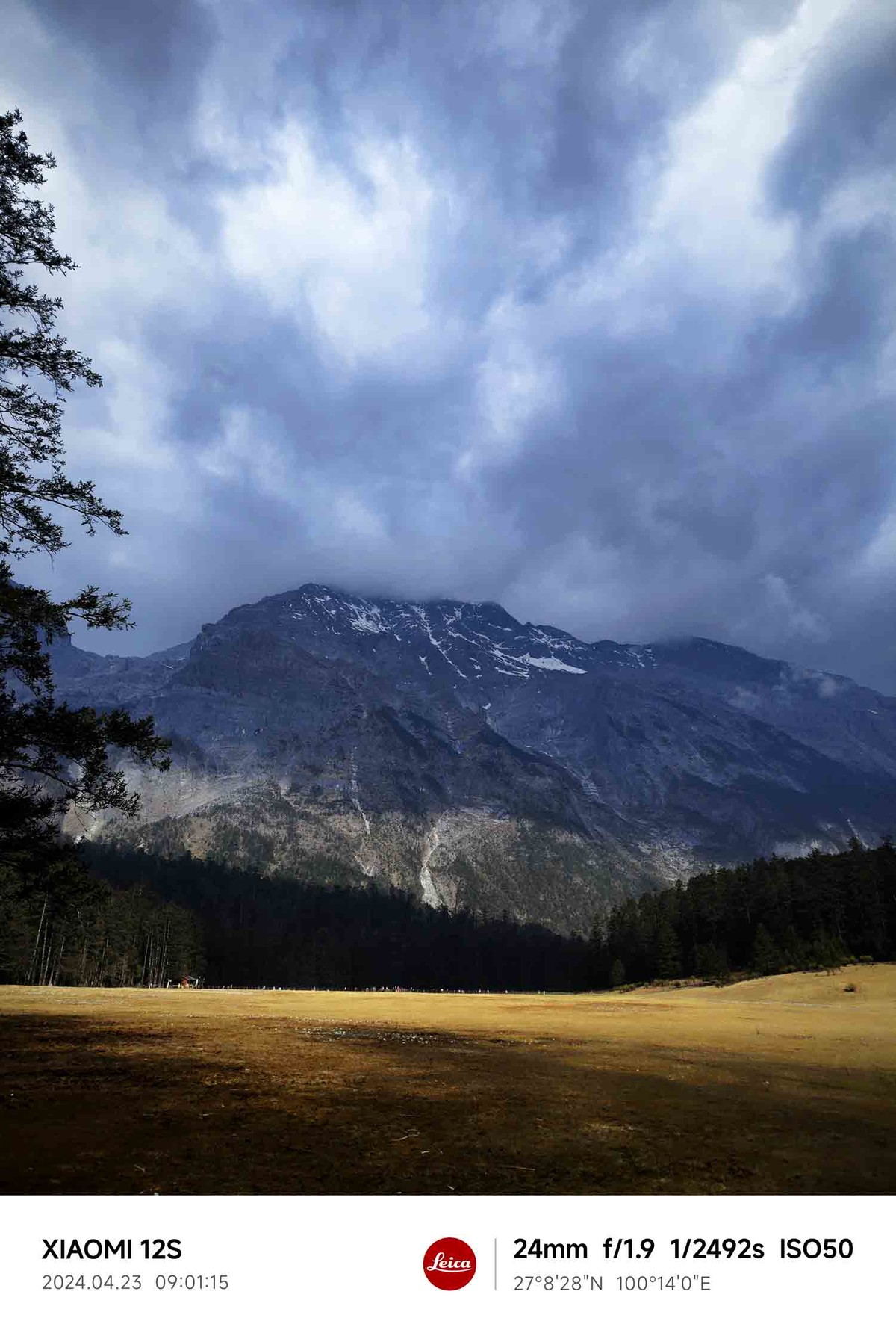 玉龙雪山云杉坪