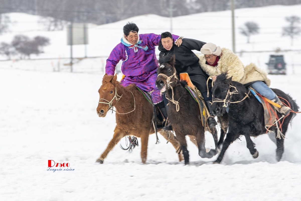 快乐的牧马人（39）