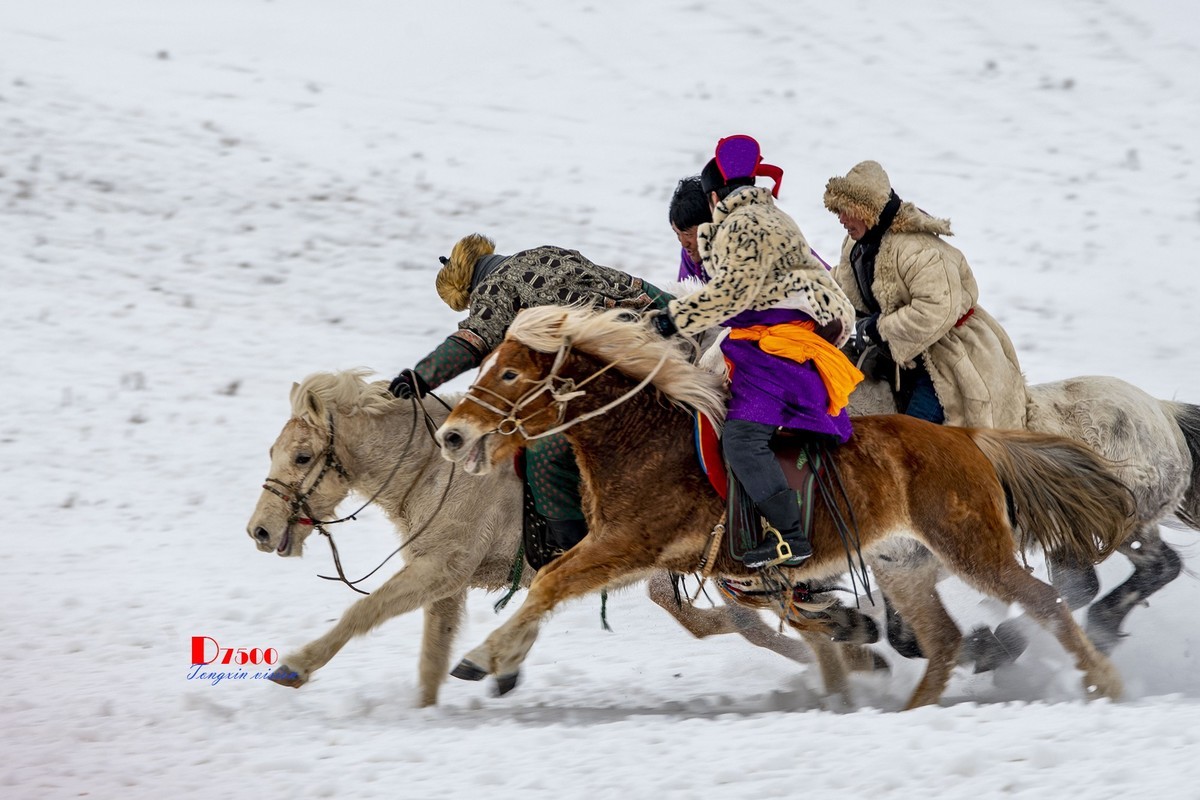快乐的牧马人（39）