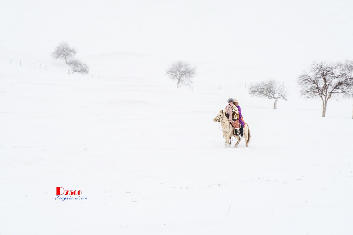 快乐的牧马人（39）