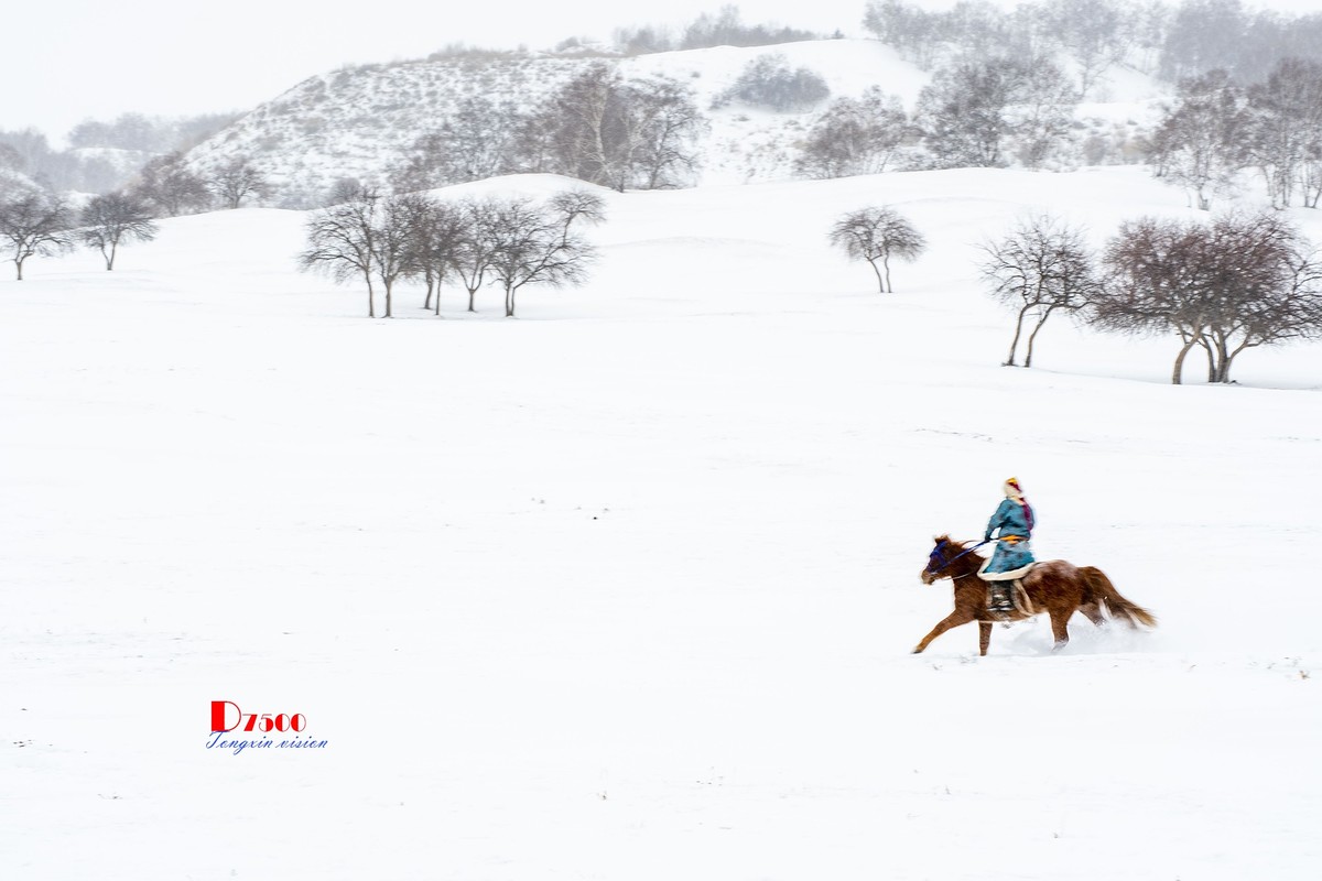 快乐的牧马人（39）