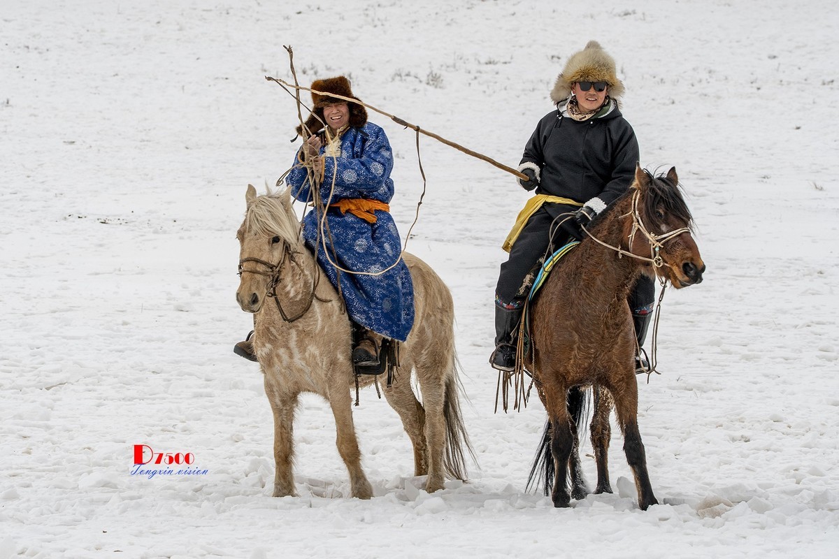 快乐的牧马人（39）