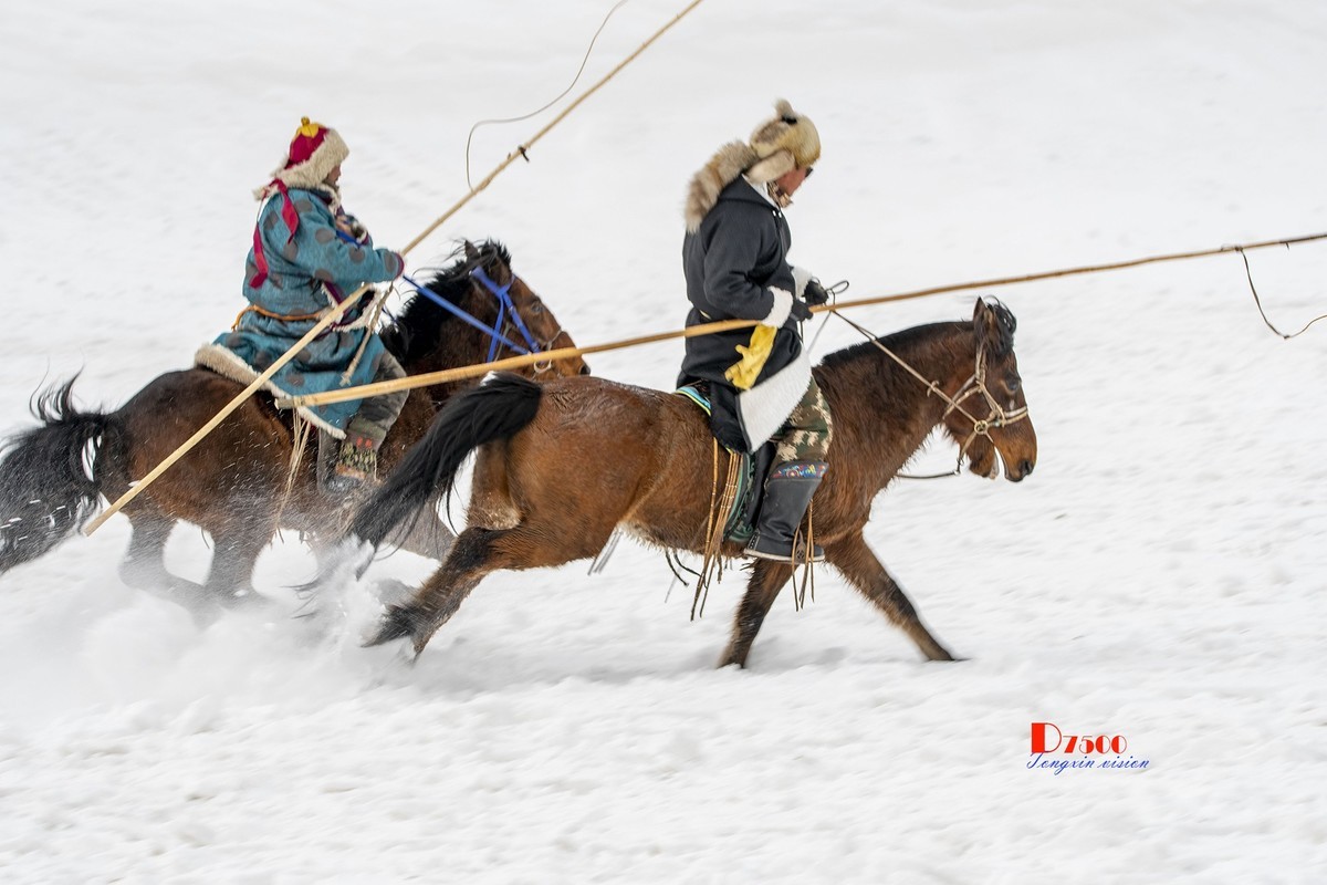 快乐的牧马人（39）