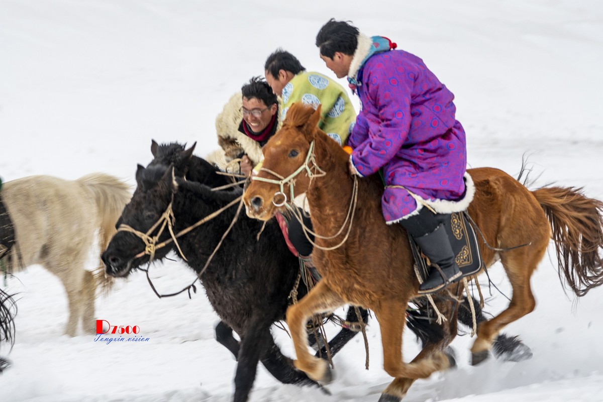 快乐的牧马人（39）