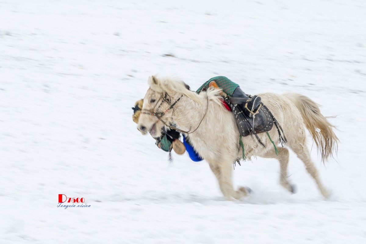快乐的牧马人（39）