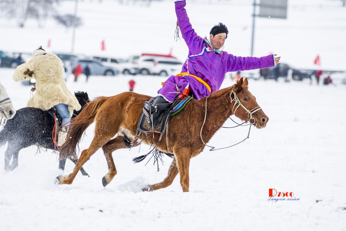 快乐的牧马人（39）