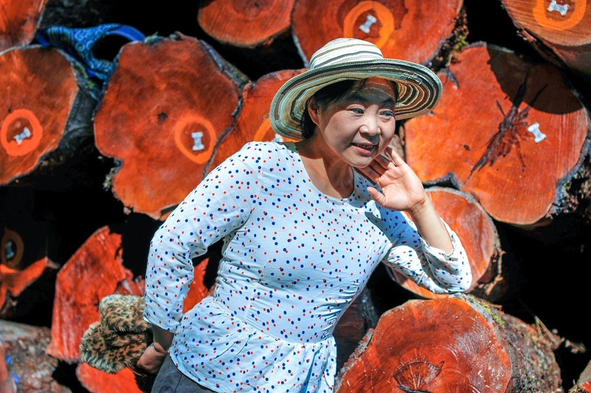 黑森林留影（南德）