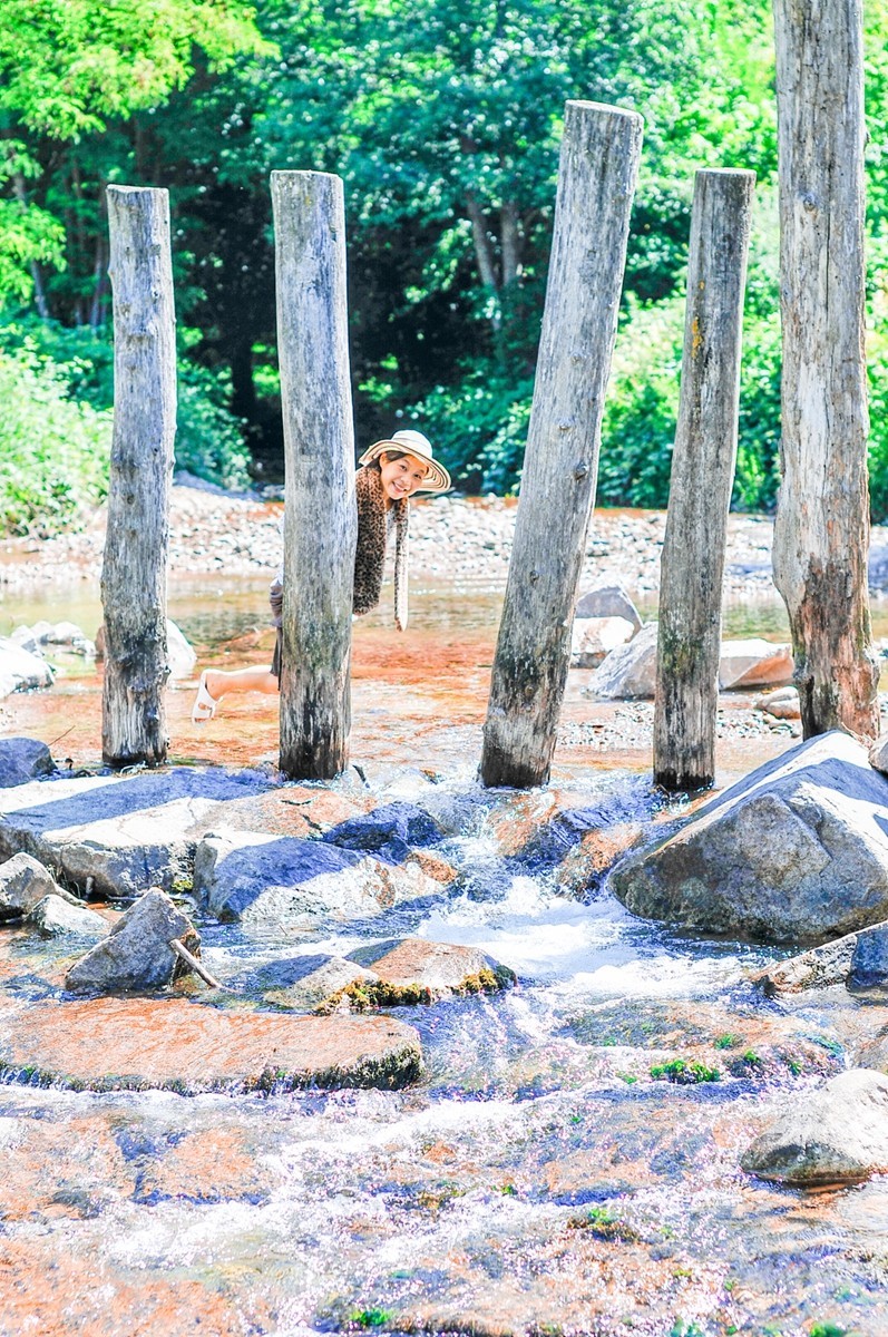 黑森林留影（南德）