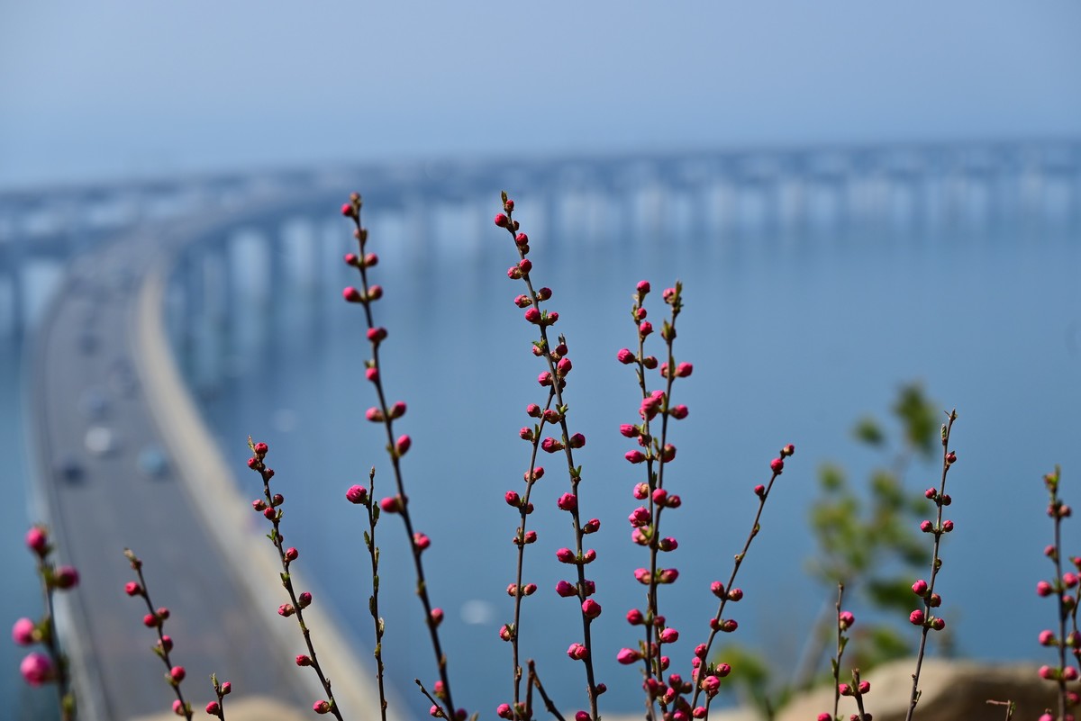 壮观的跨海大桥