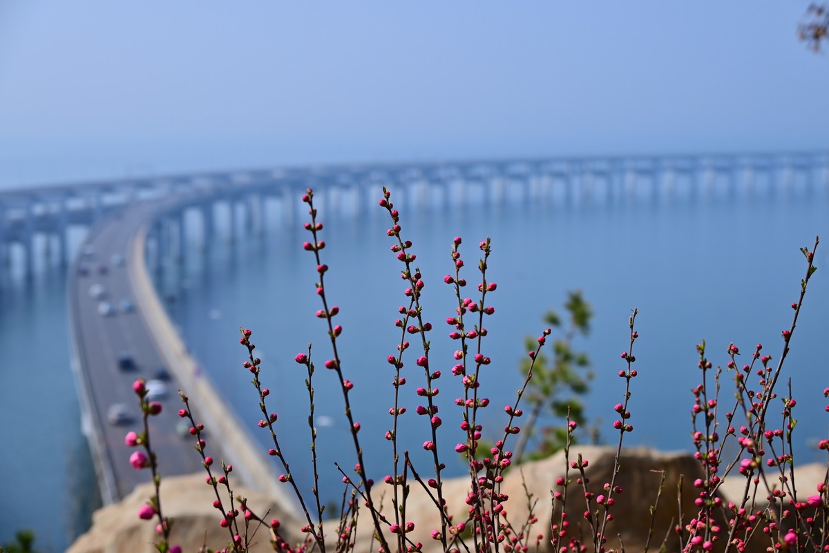 壮观的跨海大桥