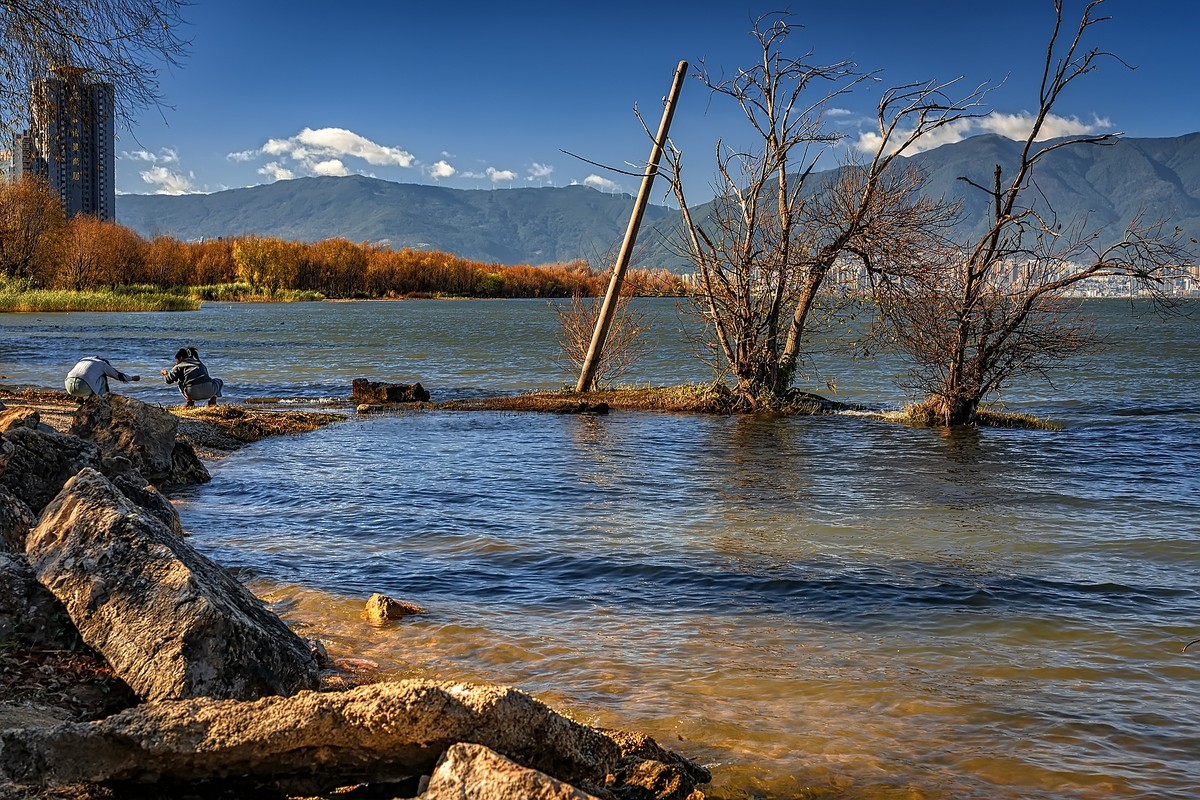 大理洱海 · 玉白菜湿地