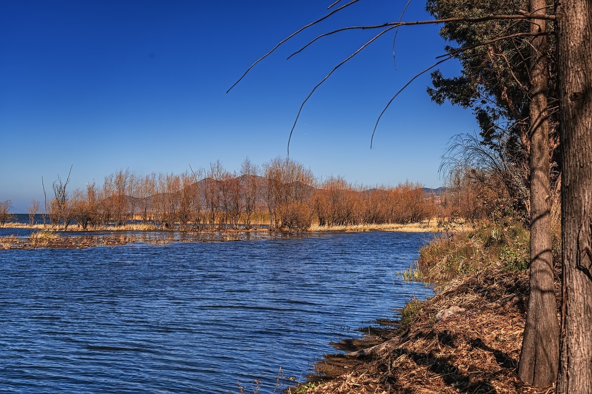 大理洱海 · 玉白菜湿地
