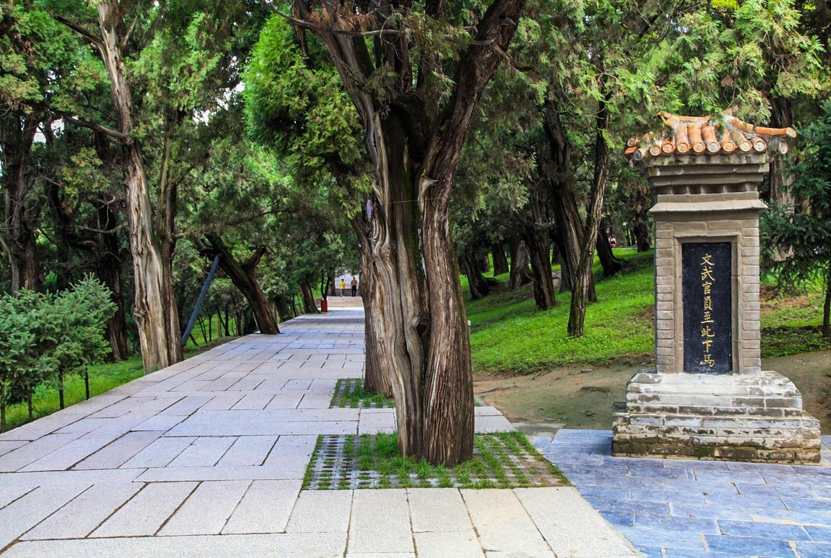 我只是把出去看到的随手记录下来（102）