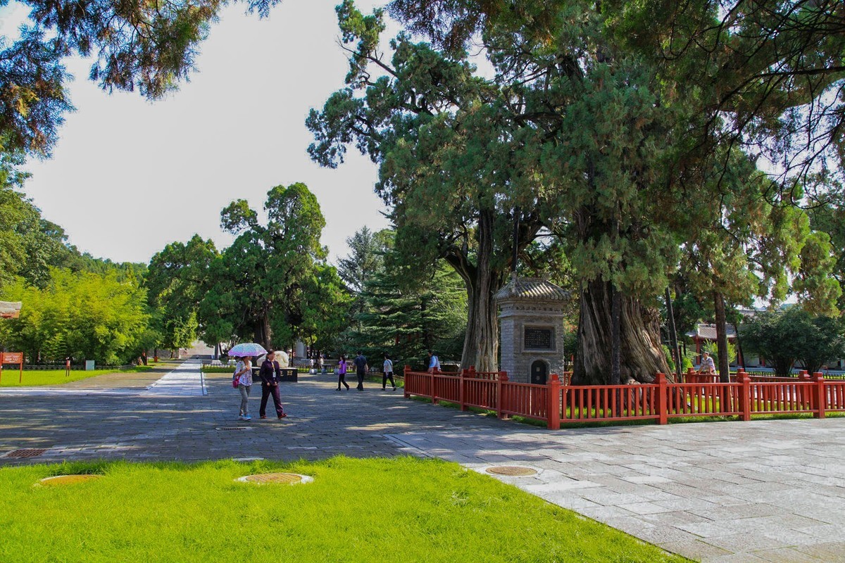 我只是把出去看到的随手记录下来（102）