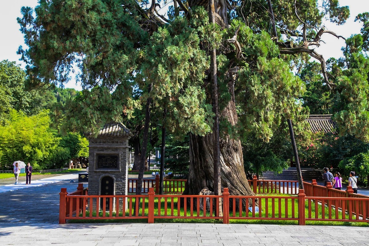 我只是把出去看到的随手记录下来（102）