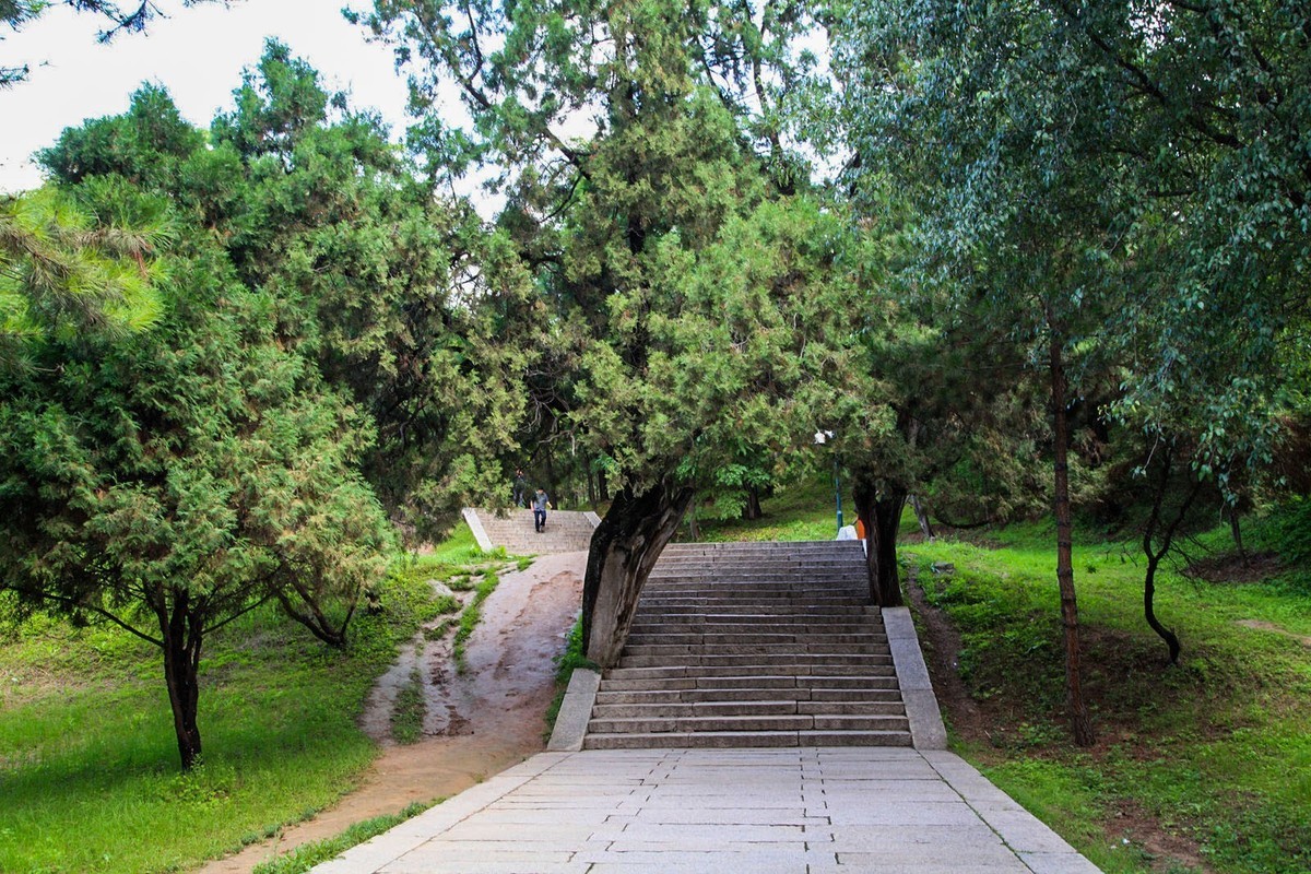 我只是把出去看到的随手记录下来（102）