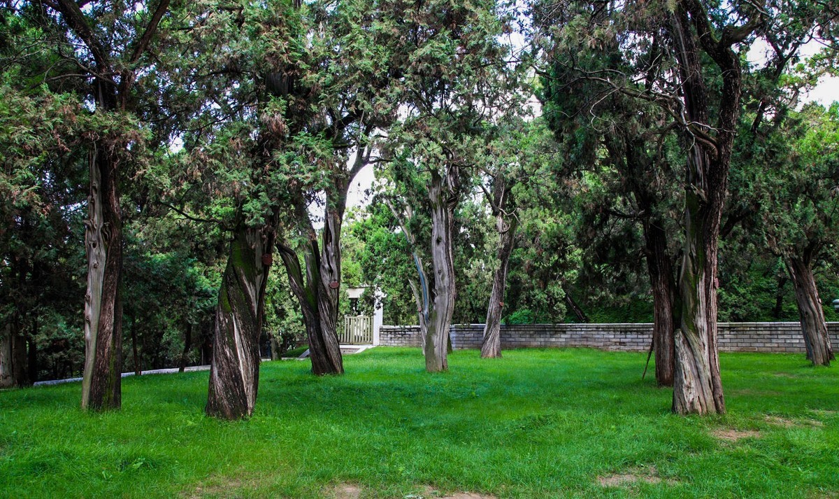 我只是把出去看到的随手记录下来（102）