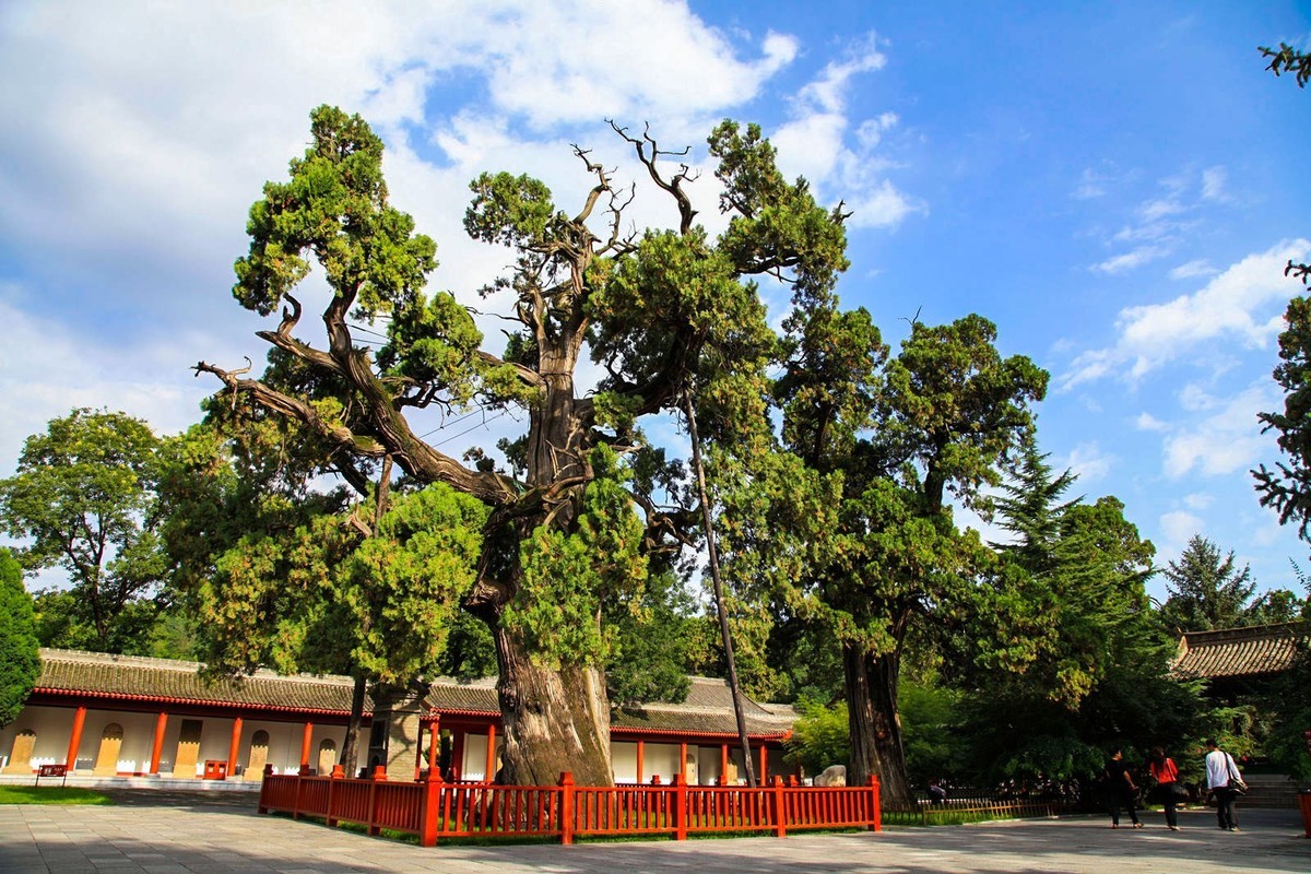 我只是把出去看到的随手记录下来（102）