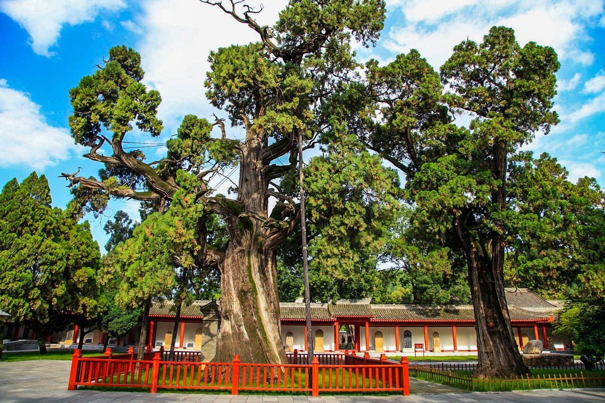 我只是把出去看到的随手记录下来（102）