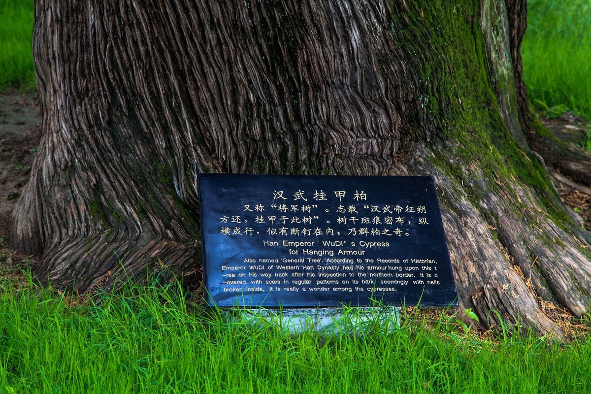 我只是把出去看到的随手记录下来（102）