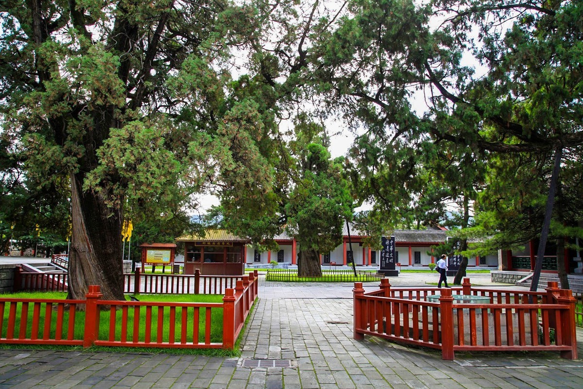 我只是把出去看到的随手记录下来（102）