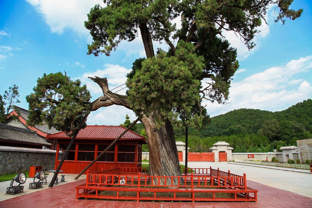 我只是把出去看到的随手记录下来（102）